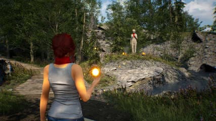 Fira screenshot 3
