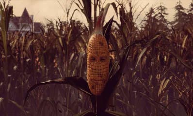 Maize screenshot 4